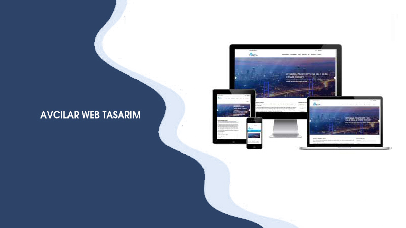 Avcılar Web Tasarım